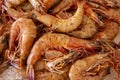 Close fresh raw shrimps