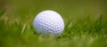 Golf ball in grass