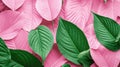 close green leaves pink background