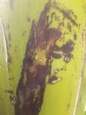 Close image of banana tree with a special motif