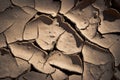 Close image of cracked mud