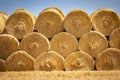 Close image of Large Rolled Hay Bales on yellow weeds on a farm