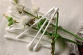 FLUFFY WHITE THISTLE SEED HEAD WITH WHITE COTTON BUDS Royalty Free Stock Photo