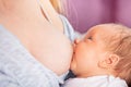 Close image of mother feed newborn baby infant boy