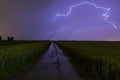 Close lighting strike in farmland Royalty Free Stock Photo