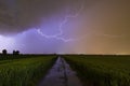 Close lighting strike in farmland Royalty Free Stock Photo