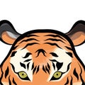 Close look of a colored asian tiger face Vector