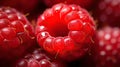 close macro raspberry fruit