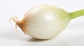 close onion white background