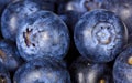 Close op of blueberries - bilberries Royalty Free Stock Photo