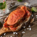 Close-op of cooked king crab on the wooden board with seashells, lime and glass of mojito. Seafood concept. Testy dish of islands Royalty Free Stock Photo