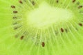 Close-op of kiwi fruit with bubbles. Bright view photo. Kiwi fruit slice in water with bubbles on light background Royalty Free Stock Photo