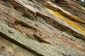 Close pattern of a sand formations