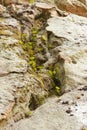 Close pattern of a sand formations