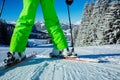 Close-up of skier legs on track over a forest after snowfall