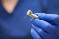 A close photo of a hand of a dentist who holds a dental diamond drill