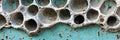 A close plan of the bee cage, where each cell reveals the complexity and engineering genius of Royalty Free Stock Photo