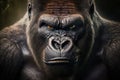 Close portrait adult gorilla, Generative AI Royalty Free Stock Photo