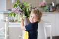 Close portrait of a beautiful blond child, toddler boy holding vase with lilacs at home, putting it on the table to decorate