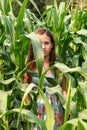 Close portrait of a girl on a cornfield field and a half face close up by huge leaves Royalty Free Stock Photo