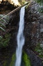 Close portrait shot of Marymere Falls, Olympic Peninsula, USA Royalty Free Stock Photo