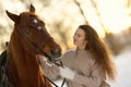 Close portrait of young smiling woman and brown horse at winter sunset. Woman with long hear in sweater near big horse Royalty Free Stock Photo