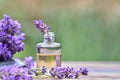 Close on purple lavender flower in a bottle of essential oil on a table