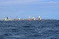 Close racing fleet Volvo Ocean Race Alicante 2017