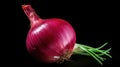 close red onion white background
