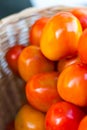 Close-red tomatoes. Royalty Free Stock Photo