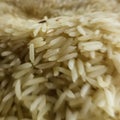 Clear picture for rice