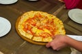 Close the round pizza on a wooden backing