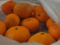 Close shoot orange fruit