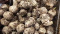 close shot of the bundle of furry skin dioscorea esculenta. Royalty Free Stock Photo