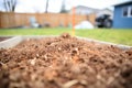 close shot of composted chicken manure on lawn Royalty Free Stock Photo