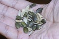 Close shot of the edible peeled sunflower, pumpkin  and water melon seeds Royalty Free Stock Photo