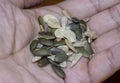 Close shot of the edible peeled sunflower, pumpkin  and water melon seeds Royalty Free Stock Photo