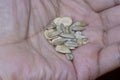 Close shot of the edible peeled sunflower and water melon seeds Royalty Free Stock Photo