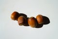 Close shot of 4 fully ripe unpeeled hazelnuts