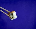 Close Shot Fresh Sushi. Japanese food. Sushi with Salmon and Cheese on Sticks on a Blue Background, with Copy Space. Traditional Royalty Free Stock Photo