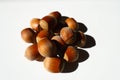 Close shot of heap of ripe brown hazelnuts