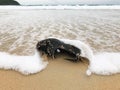 Close shot of old black men`s shoe on a beach covered with shells hit by wave Royalty Free Stock Photo