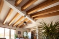 close shot of organic wooden ceiling beams in pueblo