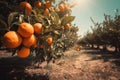 A close shot of a pile of orange on a orange tree ai generative illustration
