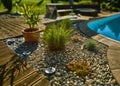 Close shot of plants near a pool with a blurred background