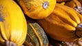 Close shot of pumpkins in a stack Royalty Free Stock Photo