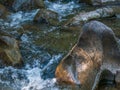 Close of shot of river water rippling and crashing into rocks