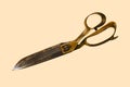 Rusty tailor scissor isolated on cream color background Royalty Free Stock Photo