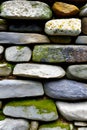 close shot of a stone wall with green moss on it generated by ai Royalty Free Stock Photo