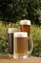 A close shot of three types of beer, a blonde lager, an amber and a dark stout style outdoors Royalty Free Stock Photo